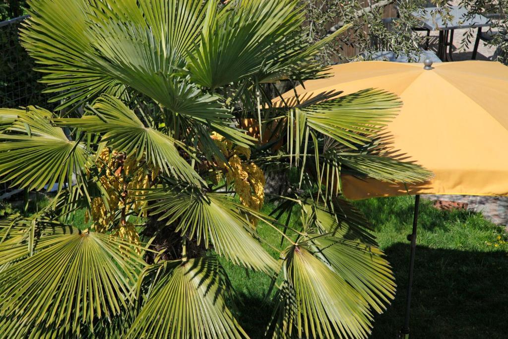 Hotel Jardis (Adults Only) Lana Exterior photo